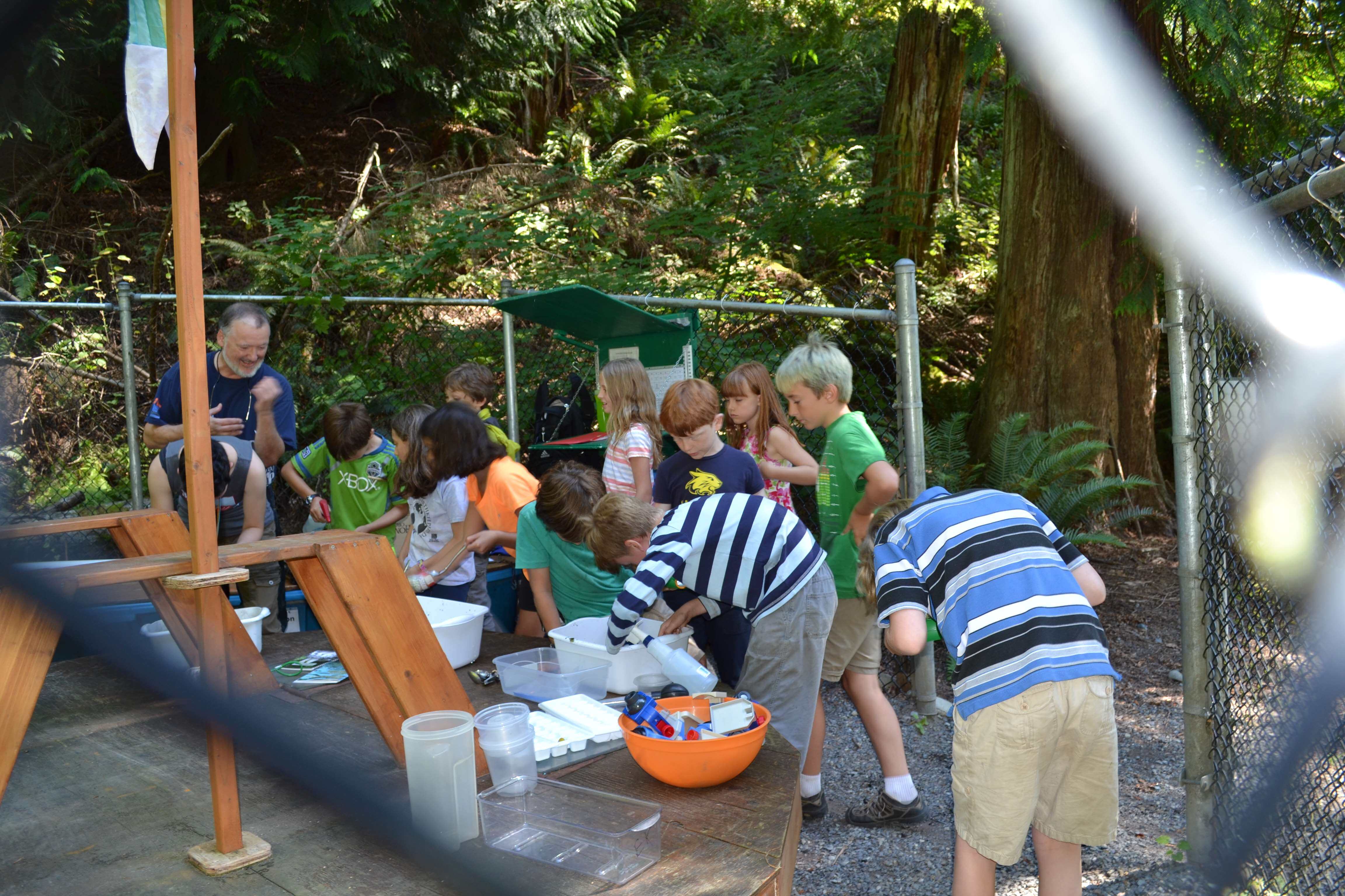 EarthKeepers Day Campers learn to sort and identify aquatic macro-invertebrated; Aug 10, 2016