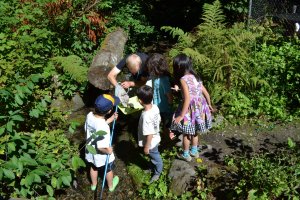 EarthKeepers Day Campers learn to sort and identify aquatic macro-invertebrates; Aug 10, 2016 by Tori Dillon